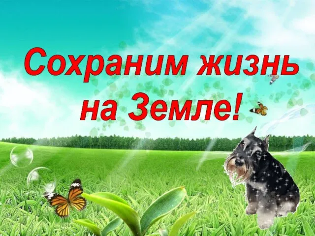 Сохраним жизнь на Земле!