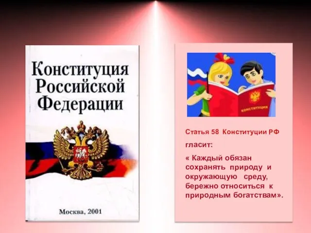 Статья 58 Конституции РФ гласит: « Каждый обязан сохранять природу и окружающую