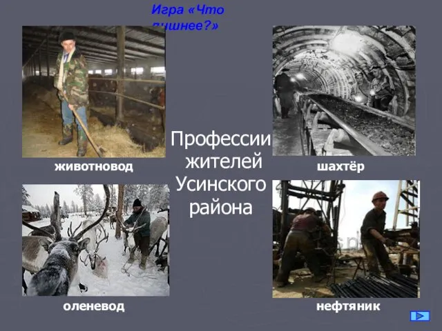 Игра «Что лишнее?» Профессии жителей Усинского района животновод шахтёр оленевод нефтяник