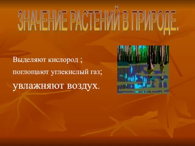 Выделяют кислород ; поглощают углекислый газ; увлажняют воздух. ЗНАЧЕНИЕ РАСТЕНИЙ В ПРИРОДЕ.