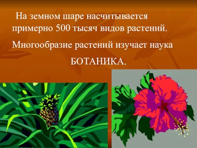 На земном шаре насчитывается примерно 500 тысяч видов растений. Многообразие растений изучает наука БОТАНИКА.