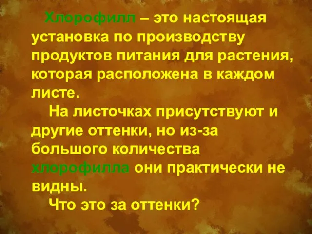 Хлорофилл – это настоящая установка по производству продуктов питания для растения, которая