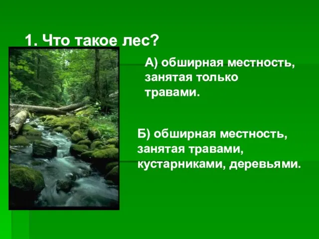 1. Что такое лес? Б) обширная местность, занятая травами, кустарниками, деревьями. А)