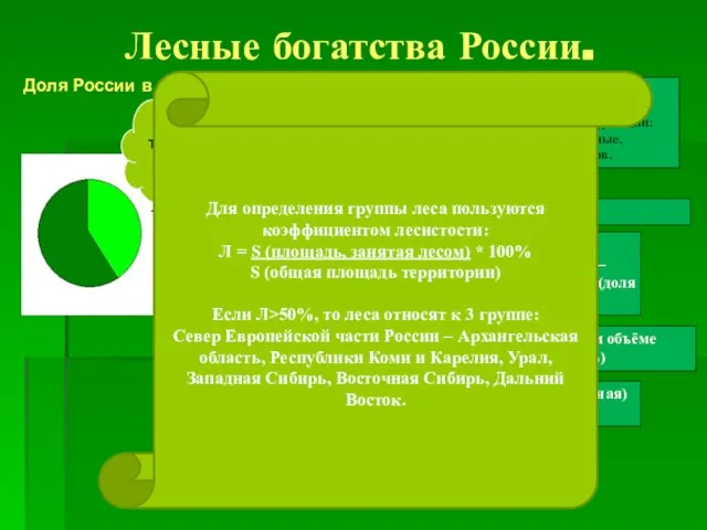 Лесные богатства России. 45% территории занято лесами Доля России в мире В