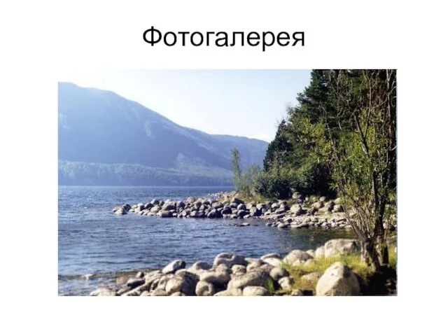 Фотогалерея