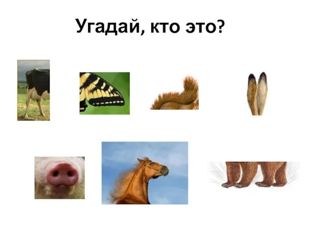 Угадай, кто это?