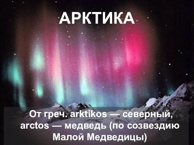 АРКТИКА От греч. arktikos — северный, аrctos — медведь (по созвездию Малой Медведицы)