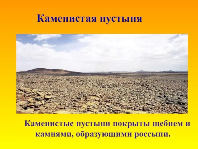 Каменистая пустыня Каменистые пустыни покрыты щебнем и камнями, образующими россыпи.