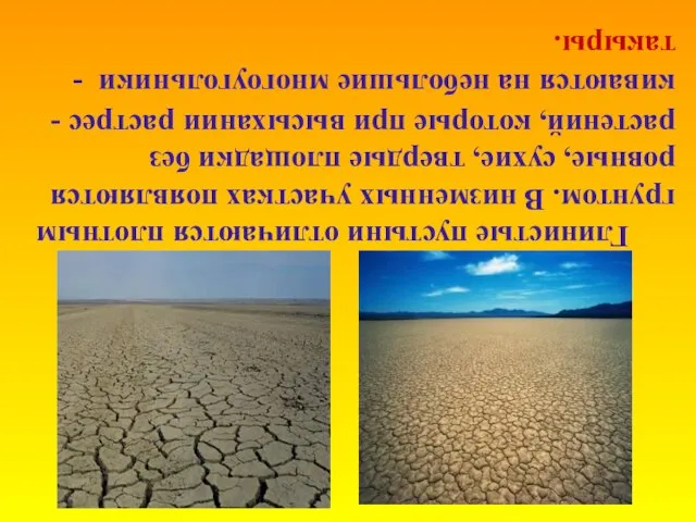 Глинистые пустыни отличаются плотным грунтом. В низменных участках появляются ровные, сухие, твердые