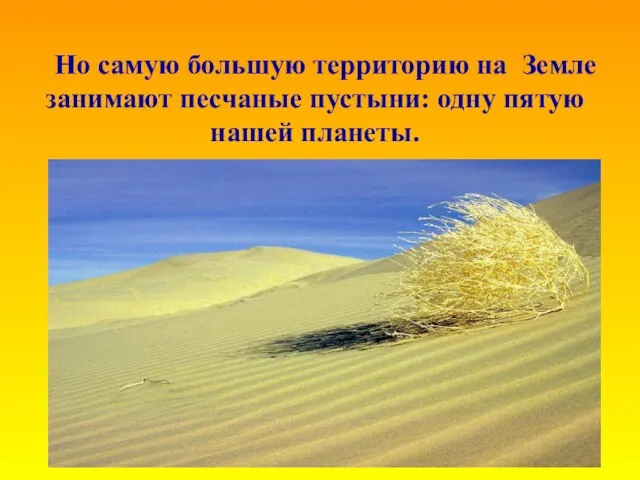 Но самую большую территорию на Земле занимают песчаные пустыни: одну пятую нашей планеты.