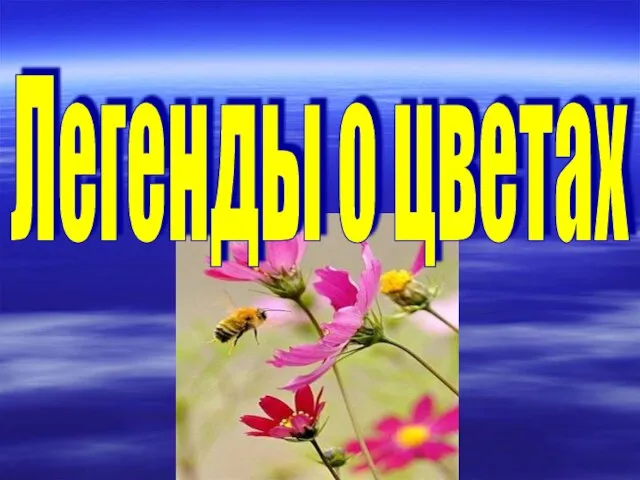 Легенды о цветах