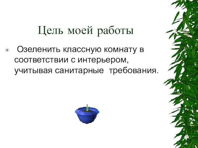 Цель моей работы Озеленить классную комнату в соответствии с интерьером, учитывая санитарные требования.