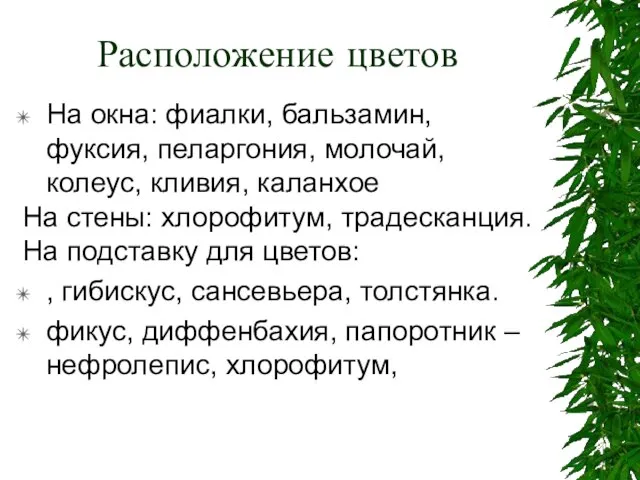 Расположение цветов На окна: фиалки, бальзамин, фуксия, пеларгония, молочай,колеус, кливия, каланхое На