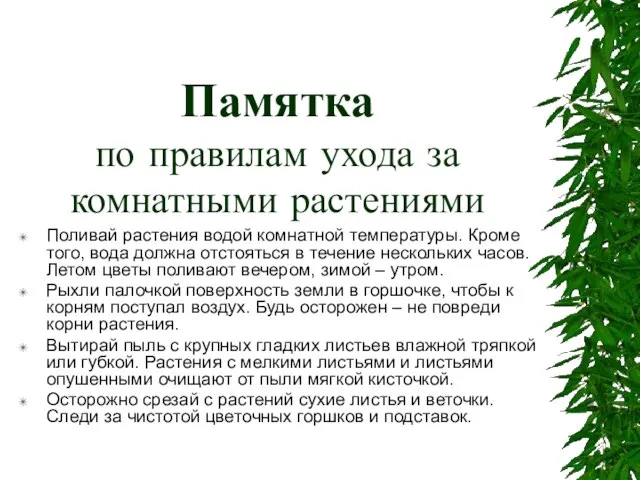 Памятка по правилам ухода за комнатными растениями Поливай растения водой комнатной температуры.