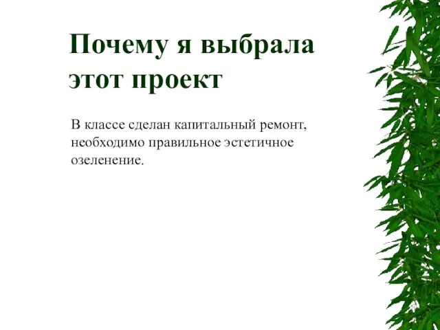 Почему я выбрала этот проект В классе сделан капитальный ремонт, необходимо правильное эстетичное озеленение.