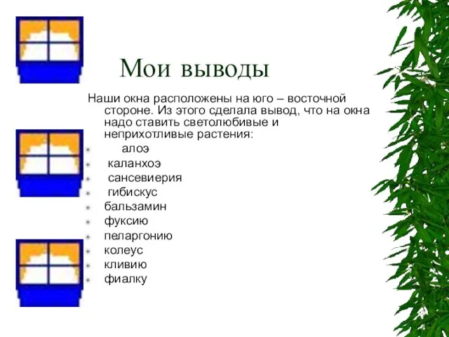 Мои выводы Наши окна расположены на юго – восточной стороне. Из этого