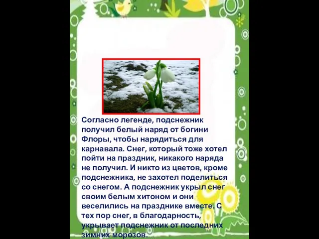 Согласно легенде, подснежник получил белый наряд от богини Флоры, чтобы нарядиться для