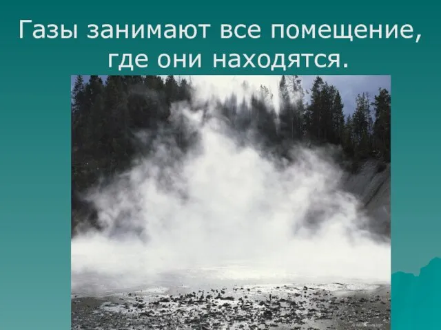 Газы занимают все помещение, где они находятся.