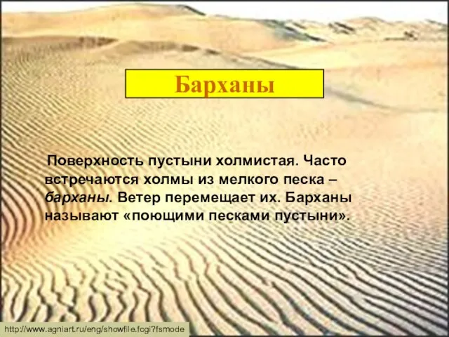 Барханы Поверхность пустыни холмистая. Часто встречаются холмы из мелкого песка – барханы.