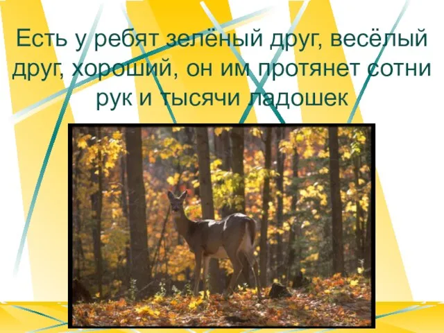 Есть у ребят зелёный друг, весёлый друг, хороший, он им протянет сотни рук и тысячи ладошек