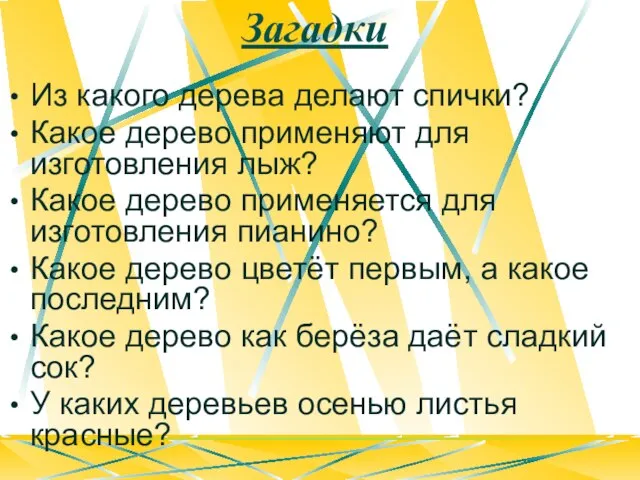 Загадки Из какого дерева делают спички? Какое дерево применяют для изготовления лыж?