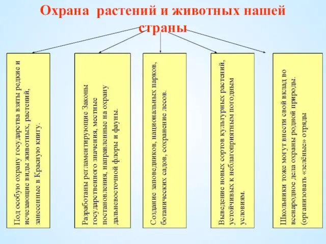 Охрана растений и животных нашей страны