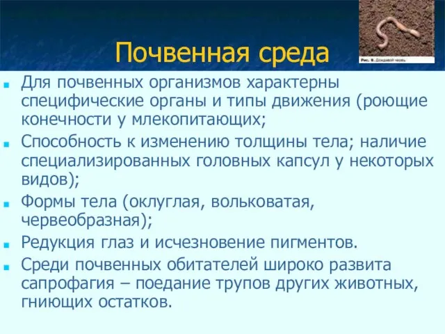 Почвенная среда Для почвенных организмов характерны специфические органы и типы движения (роющие