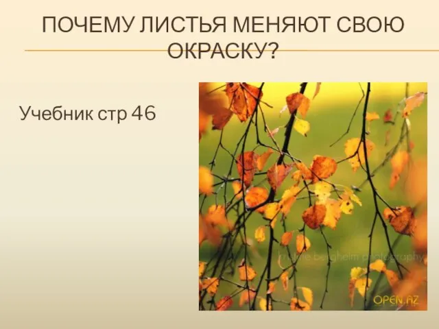 ПОЧЕМУ ЛИСТЬЯ МЕНЯЮТ СВОЮ ОКРАСКУ? Учебник стр 46