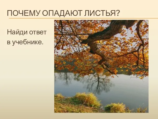 ПОЧЕМУ ОПАДАЮТ ЛИСТЬЯ? Найди ответ в учебнике.