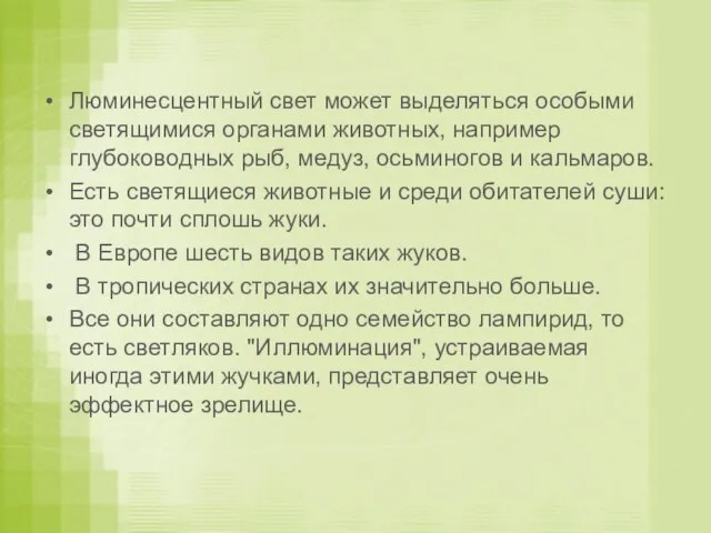 Люминесцентный свет может выделяться особыми светящимися органами животных, например глубоководных рыб, медуз,