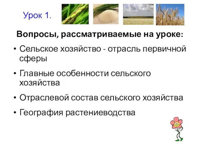 Вопросы, рассматриваемые на уроке: Сельское хозяйство - отрасль первичной сферы Главные особенности