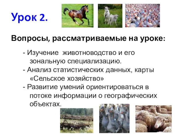 Урок 2. Вопросы, рассматриваемые на уроке: - Изучение животноводство и его зональную