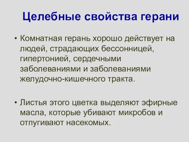 Целебные свойства герани Комнатная герань хорошо действует на людей, страдающих бессонницей, гипертонией,