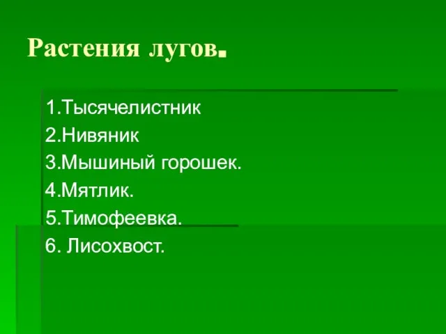 Растения лугов. 1.Тысячелистник 2.Нивяник 3.Мышиный горошек. 4.Мятлик. 5.Тимофеевка. 6. Лисохвост.