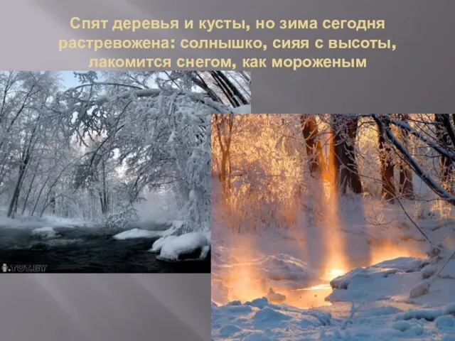 Спят деревья и кусты, но зима сегодня растревожена: солнышко, сияя с высоты, лакомится снегом, как мороженым