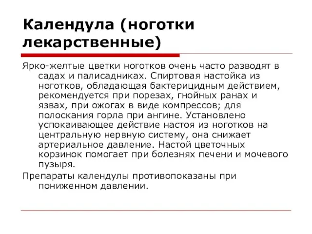 Календула (ноготки лекарственные) Ярко-желтые цветки ноготков очень часто разводят в садах и