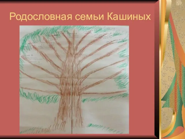 Родословная семьи Кашиных