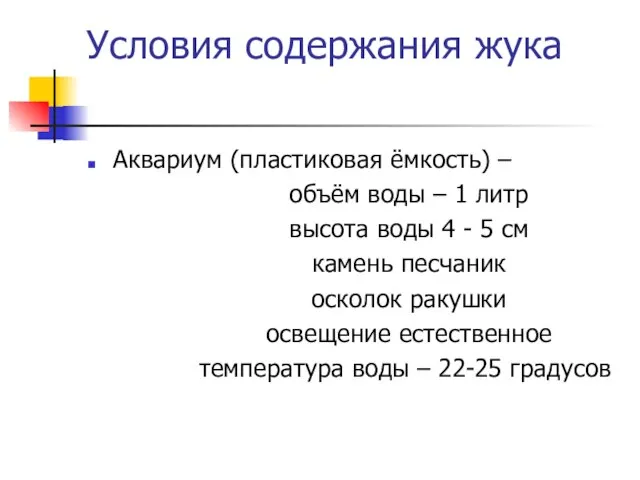 Условия содержания жука Аквариум (пластиковая ёмкость) – объём воды – 1 литр