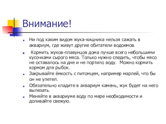 Внимание! Ни под каким видом жука-хищника нельзя сажать в аквариум, где живут