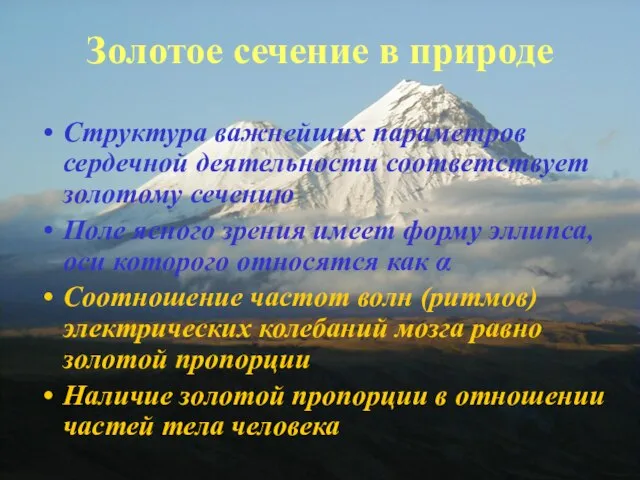 Золотое сечение в природе Структура важнейших параметров сердечной деятельности соответствует золотому сечению