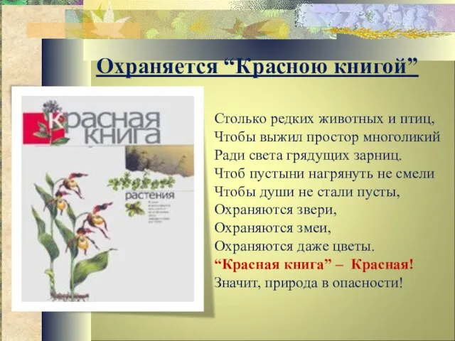 Охраняется “Красною книгой” Столько редких животных и птиц, Чтобы выжил простор многоликий