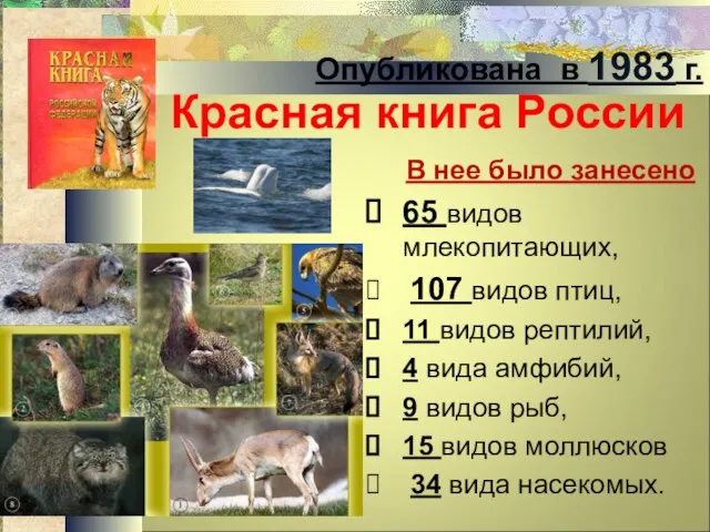 Красная книга России В нее было занесено 65 видов млекопитающих, 107 видов