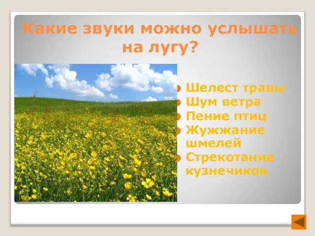 Какие звуки можно услышать на лугу? Шелест травы Шум ветра Пение птиц Жужжание шмелей Стрекотание кузнечиков