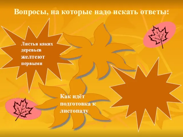 Вопросы, на которые надо искать ответы: Как идёт подготовка к листопаду Листья каких деревьев желтеют первыми