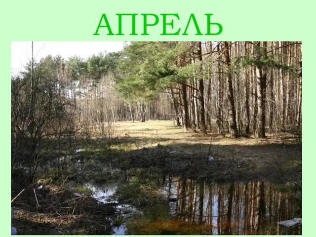 АПРЕЛЬ