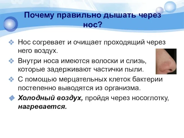 Почему правильно дышать через нос? Нос согревает и очищает проходящий через него