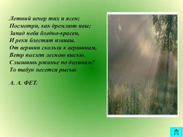 Летний вечер тих и ясен; Посмотри, как дремлют ивы; Запад неба бледно-красен,