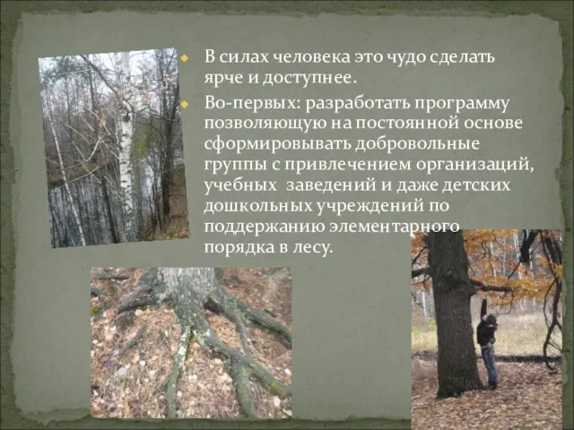 В силах человека это чудо сделать ярче и доступнее. Во-первых: разработать программу