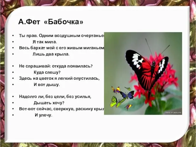 А.Фет «Бабочка» Ты прав. Одним воздушным очертаньем Я так мила. Весь бархат