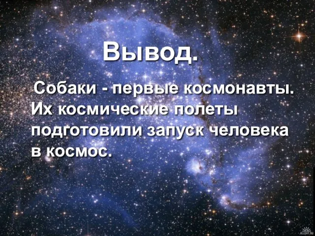 Вывод. Собаки - первые космонавты. Их космические полеты подготовили запуск человека в космос.